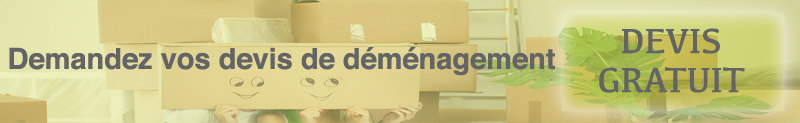 Bouton_demande_devis_demenagement