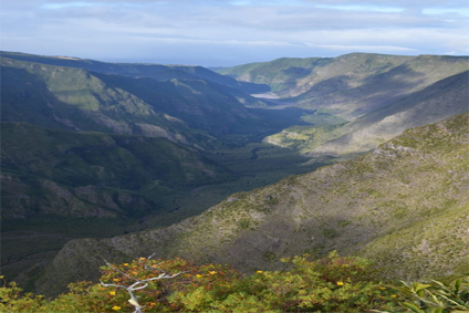 Déménager vers l’île de La Réunion